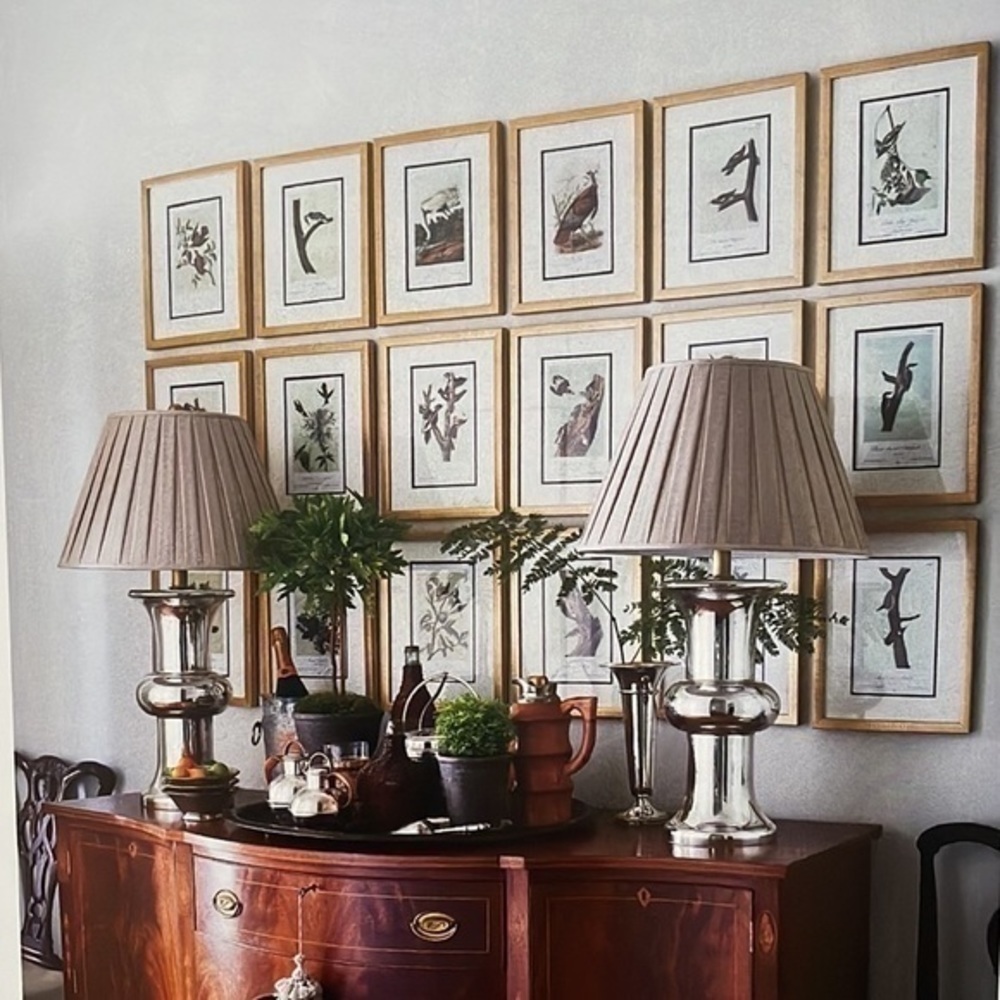 🌹FREE w/purchase Antique Ornithological Bird Print Original vintage birds home